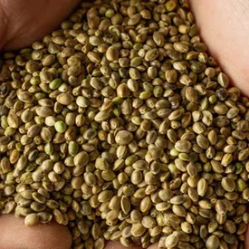 Семечки-зернышки конопли не очищенной, 200 гр.